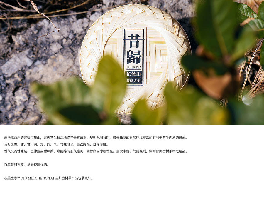 ���x���w�Ř����b�O(sh��)Ӌ(j��)���p