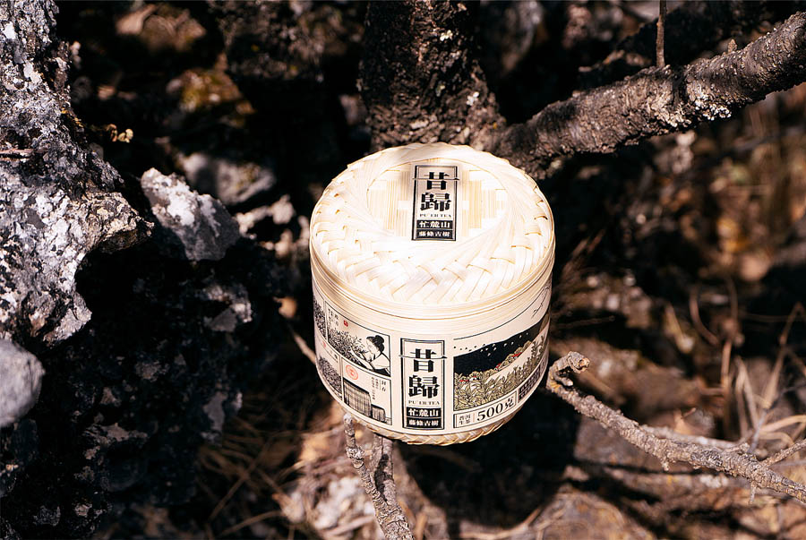 ���x���w�Ř����b�OӋ���p