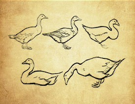 ���L����PS�Pˢ