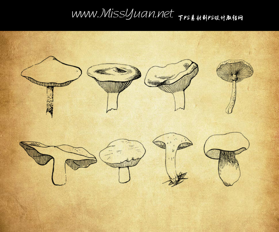 ���LĢ��PS�Pˢ