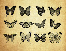 20�����������PS�Pˢ