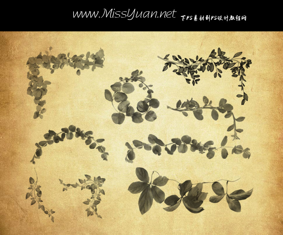 20��ֲ���������ٗlPS�Pˢ