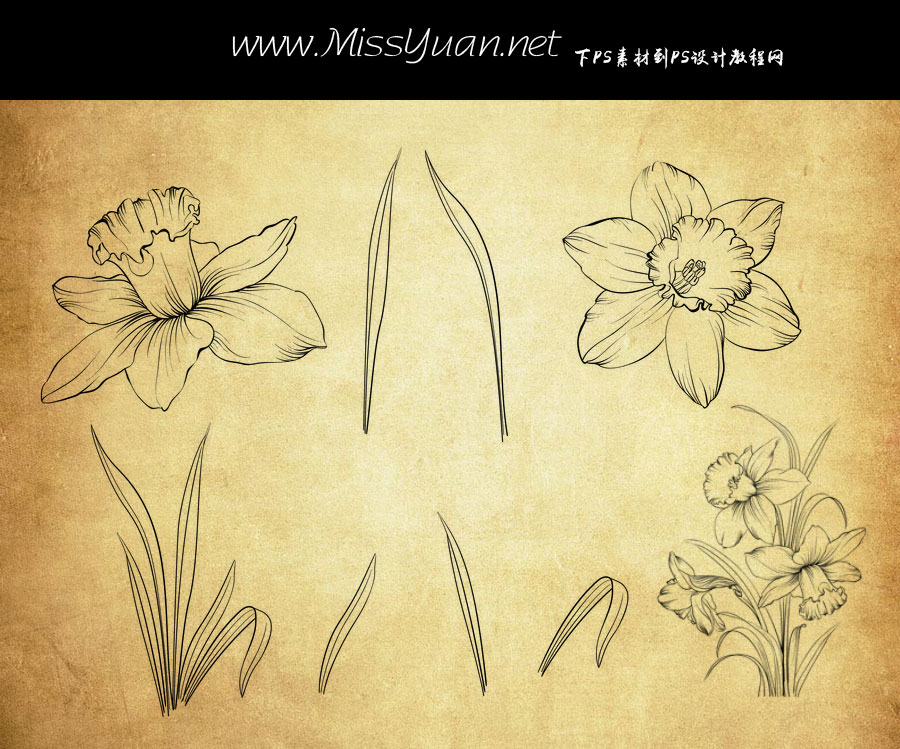 ���L�����~�Ӻͻ���PS�Pˢ