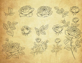 ���軨����~��PS�Pˢ