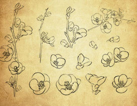 ���L�ѻ����һ�PS�Pˢ