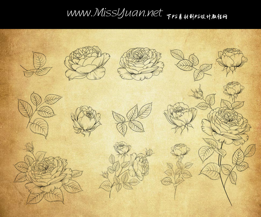 ���軨����~��PS�Pˢ