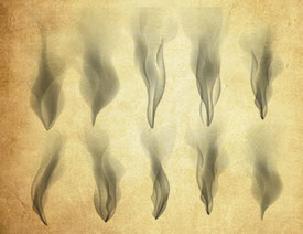 ����ğ��FPS�Pˢ