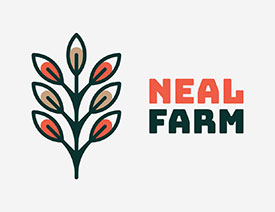 Ħ����OӋ��Nour Oumousse��־�OӋ���p