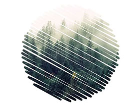 ���ɽ̳̣������õ�PS�ɰ�ʹ�ü��ɽ̳�