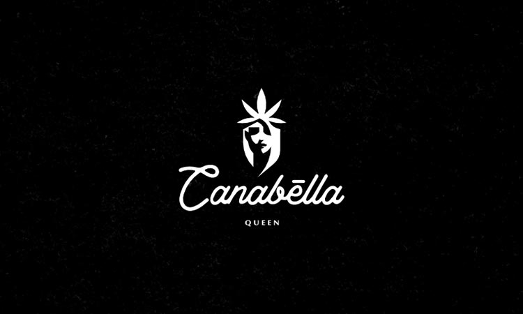 25���������}�L(f��ng)��LOGO�O(sh��)Ӌ���p