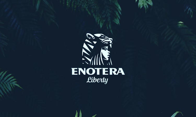 25���������}�L��LOGO�OӋ���p