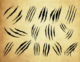 ����צӡ��ץ��PS�Pˢ