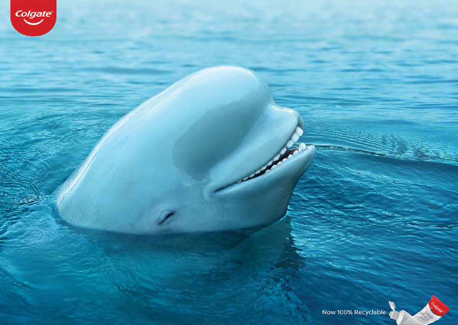 創意的高露潔牙膏宣傳海報設計欣賞