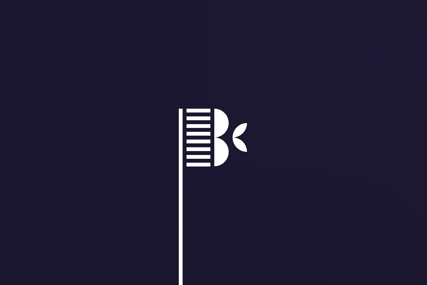 BerryClean������b�OӋ���p