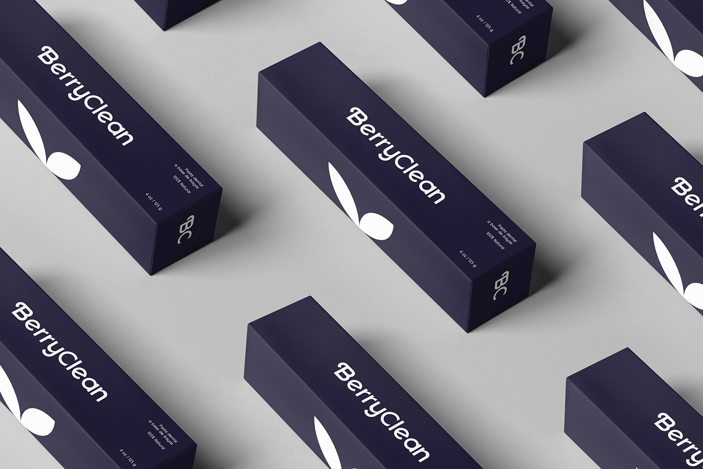 BerryClean������b�OӋ���p