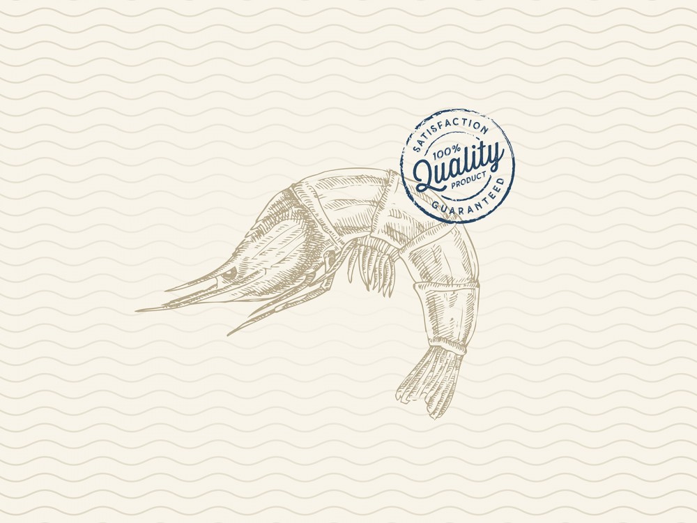 印度MatsyaKing泡菜包裝設計欣賞