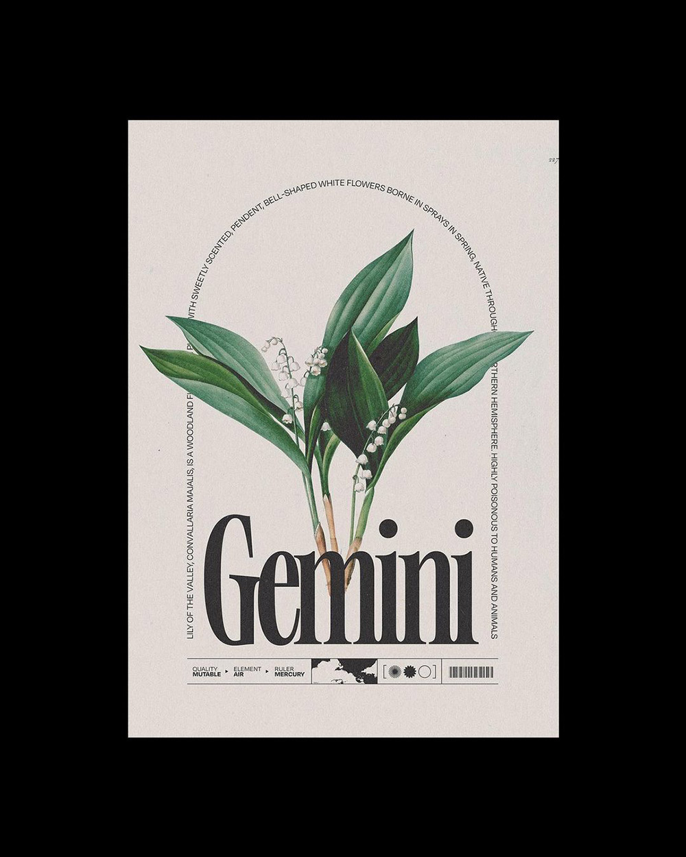 ���x�͹��|�е�Ӣ�������Ű��OӋ���p